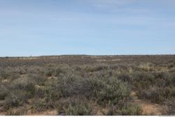 Photo Textures of Background Nature Africa